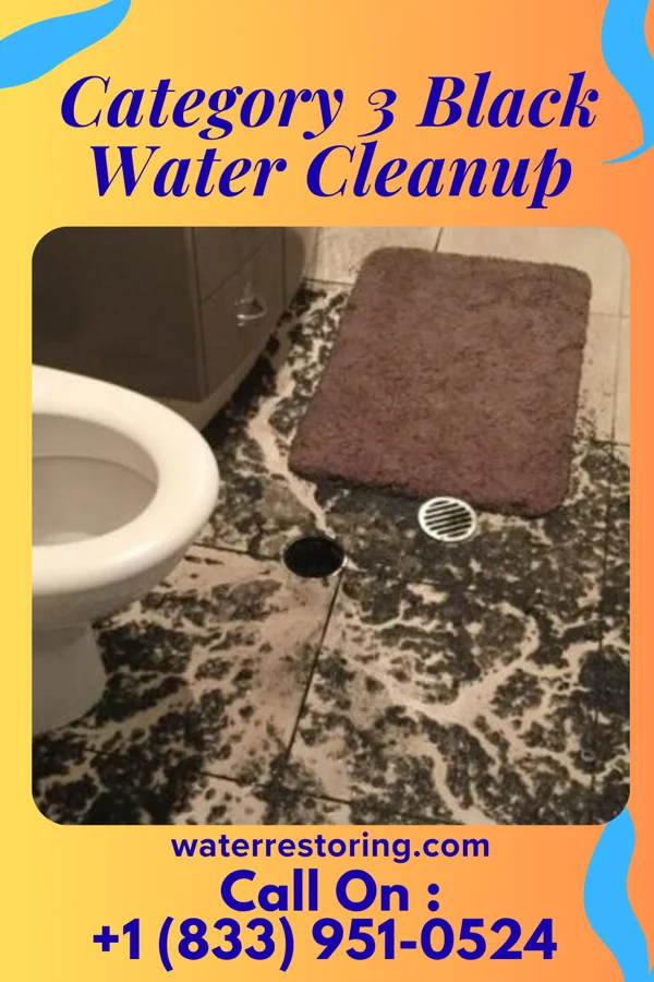 Category 3 Black Water Cleanup in Liberal, MO