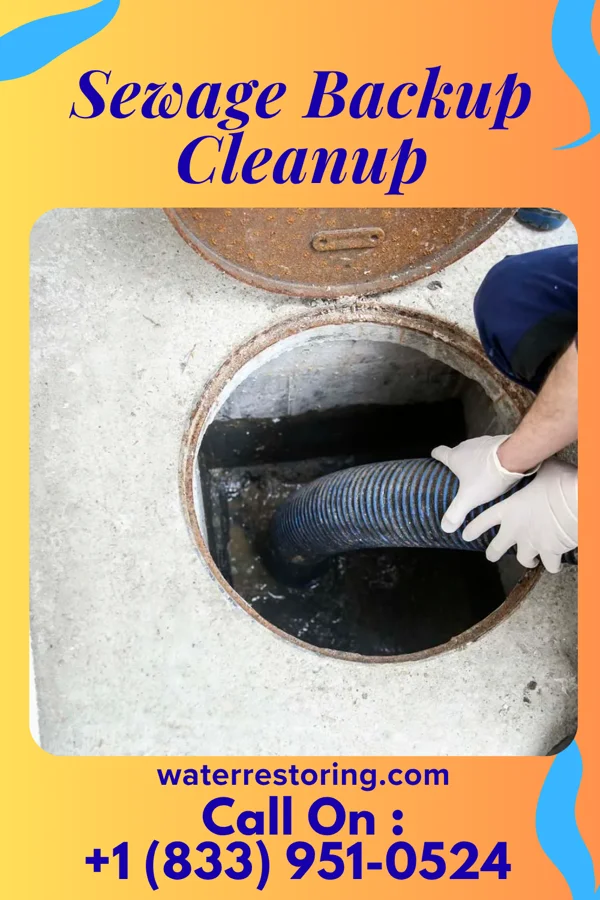 Sewage Backup Cleanup in Liberal, MO