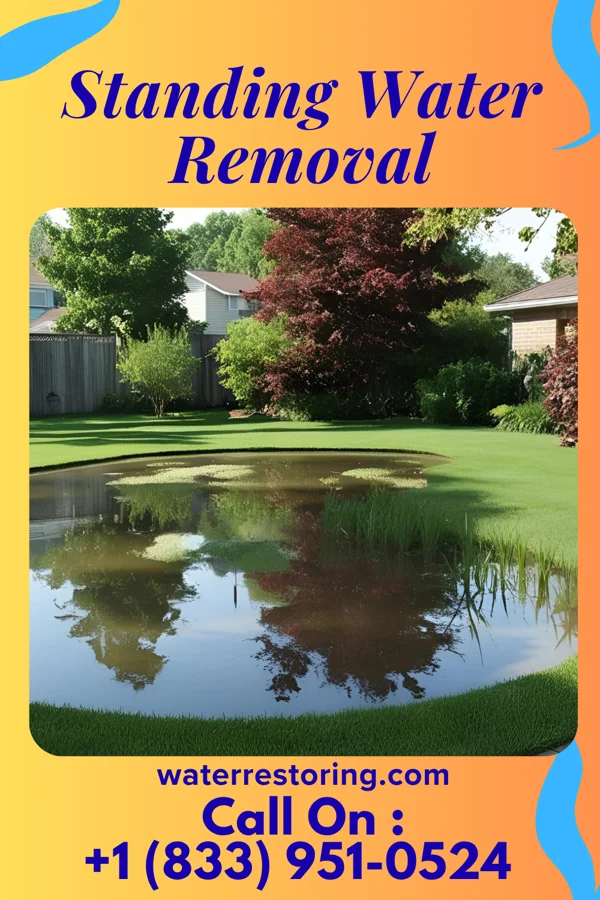 Standing Water Removal in Liberal, MO